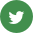 twitter-icon